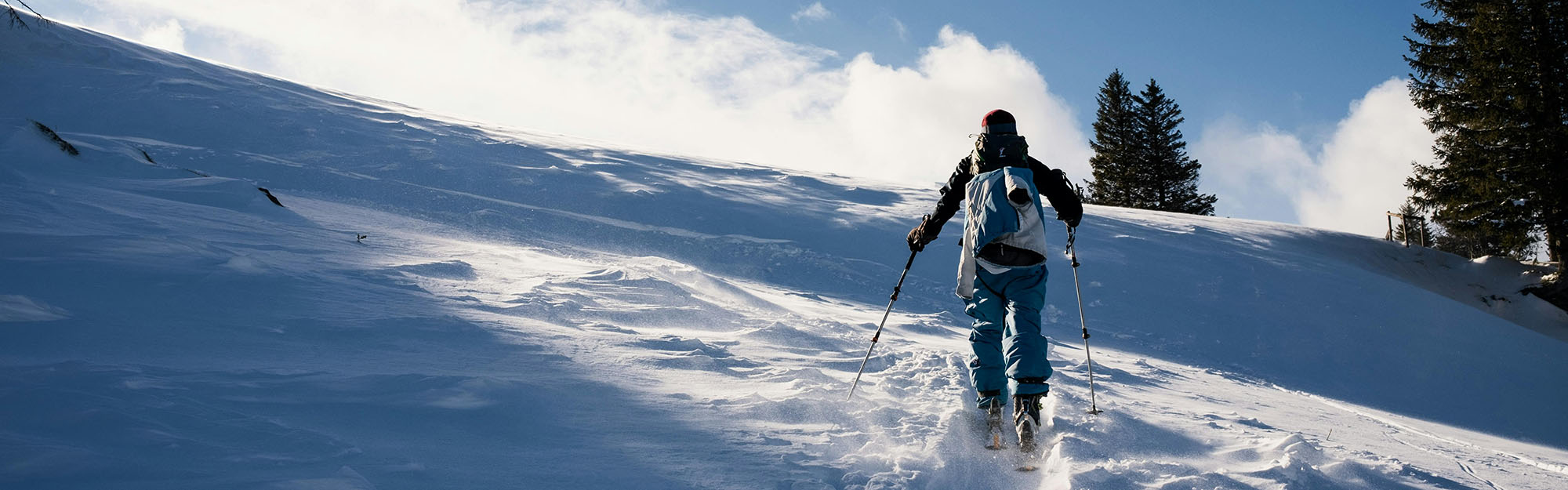 Ski Series -Ski Series 2
