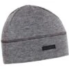 Turtle Fur Merino Wool Tencel Beanie -Ski Series TUR 765651 charcoal