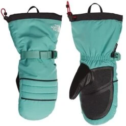 The North Face Montana Ski Mitt - Women's 8 The North Face Montana Ski Mitt - Women's -Ski Series W TNF NF0A7RGX wasabi