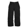 The North Face Freedom Pants - Girl's - 2011 Model -Ski Series black the north face freedom pants girl s 525
