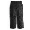 The North Face Freedom Insulated Pant - Boy's - APZG, CA46, CSB6, NF0A2TLY 2 The North Face Freedom Insulated Pant - Boy's - APZG, CA46, CSB6, NF0A2TLY -Ski Series freedom ins pant boys black