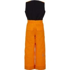 Spyder Expedition Pant - Toddler Boy's -Ski Series fw22 195086 823 b