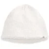 The North Face Ridge Fleece Beanie -Ski Series fw22 nf0a5fwc n3n hero