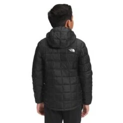 The North Face Thermoball Eco Hoodie - Boy's -Ski Series fw22 nf0a5gc5 jk3 back