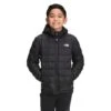 The North Face Thermoball Eco Hoodie - Boy's -Ski Series fw22 nf0a5gc5 jk3 hero