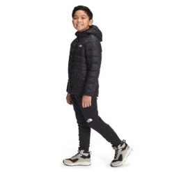 The North Face Thermoball Eco Hoodie - Boy's -Ski Series fw22 nf0a5gc5 jk3 model34