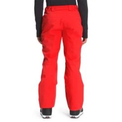 The North Face Chakal Pant - Men's -Ski Series fw22 nf0a5iyv 15q back