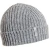 Turtle Fur Recycled Clara Beanie - Women's -Ski Series fw22 recycled clara beanie ash