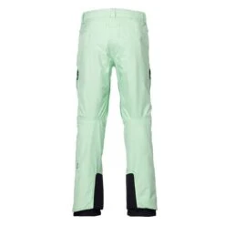 686 GTX Core Shell Pants - Men's -Ski Series fw23 68W M2W204 key lime2