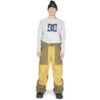 DC SHOES DC Squadron 45k Pant - Men's -Ski Series fw23 dc menssquadron45kpant bronzemist