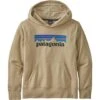 Patagonia LW Graphic Hoody Sweatshirt - Youth 2 Patagonia LW Graphic Hoody Sweatshirt - Youth -Ski Series fw23 patagonia youthlwgraphichoodysweatshirt elcapkhaki