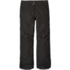Patagonia Insulated Powder Bowl Pant - Men's -Ski Series inslat powder bowl jk blk men.jpeg