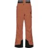 Picture Organic Clothing Picture Object Pant - Men's -Ski Series mpt114 pictureobjectpt jnutz f
