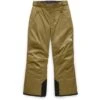 Boys The North Face Freedom Insulated Pant - NF0A34RE 2 Boys The North Face Freedom Insulated Pant - NF0A34RE -Ski Series nf0a34re wfk hero boys freedom pant khaki