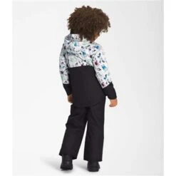 The North Face Freedom Insulated Jacket - Youth -Ski Series nf0a7un8 97g 04 22 23