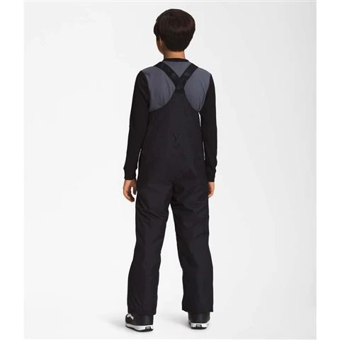 The North Face Freedom Insulated Bib - Teen 5 The North Face Freedom Insulated Bib - Teen - Image 3