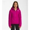 The North Face ThermoBall Hooded Jacket - Girl's 2 The North Face ThermoBall Hooded Jacket - Girl's -Ski Series nf0a7wq6 146 01 22 23