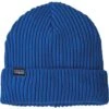 Patagonia Fishermans Rolled Beanie -Ski Series wbf2023 29105 alpb