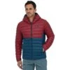 Patagonia Men's Down Sweater Hoody With Net Plus - 84702 -Ski Series wbf2223 84702 tidb mk1